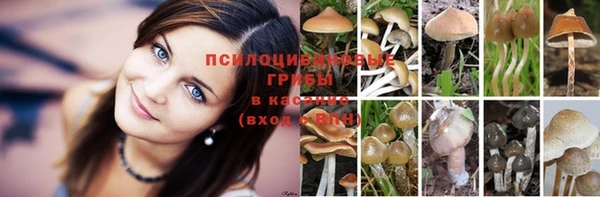 spice Алексеевка