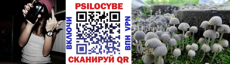 закладка  Новоалександровск  Галлюциногенные грибы ЛСД 